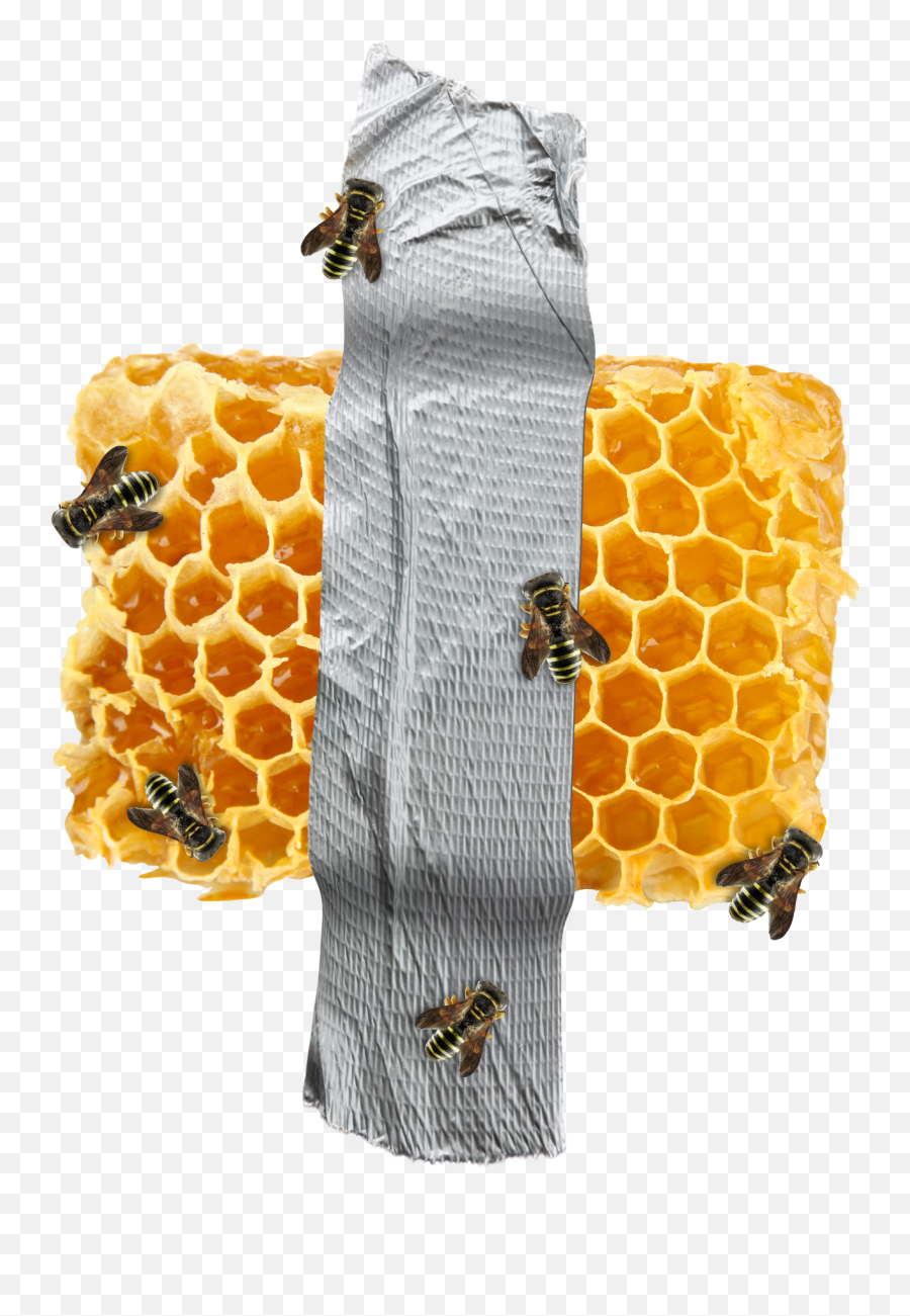 Organic Honeycomb Png Clipart Png Mart Emoji,Bee Hive Emoji