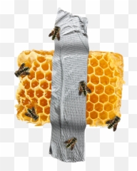 Organic Honeycomb Png Clipart Png Mart Emoji,Bee Hive Emoji