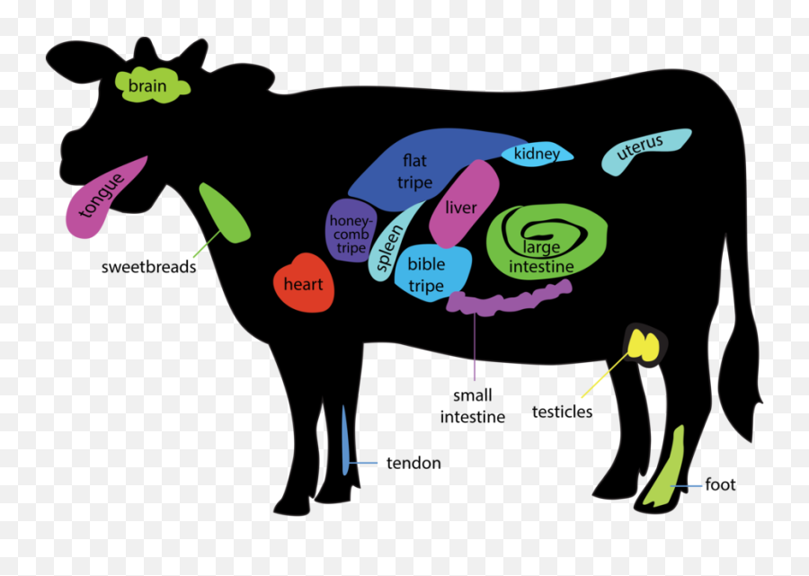 Meat Clipart T Bone Steak Meat T Bone Steak Transparent - Offal Organ Meats Cow Emoji,Boneless Emoji