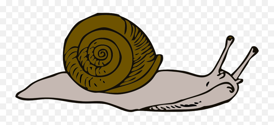 Snail Clipart 3 - Slow Clip Art Emoji,Snails Emoticon