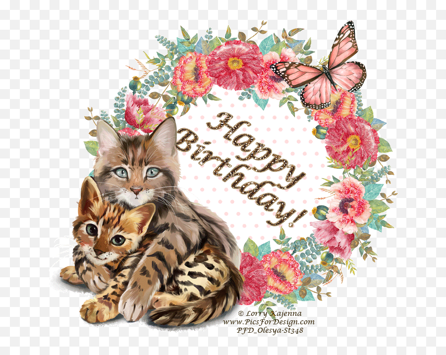 Happy Birthday Cat Gif Cute 2017 Happy - Watercolor Round Flowers Png Emoji,Happy Birthday Cat Emoticons