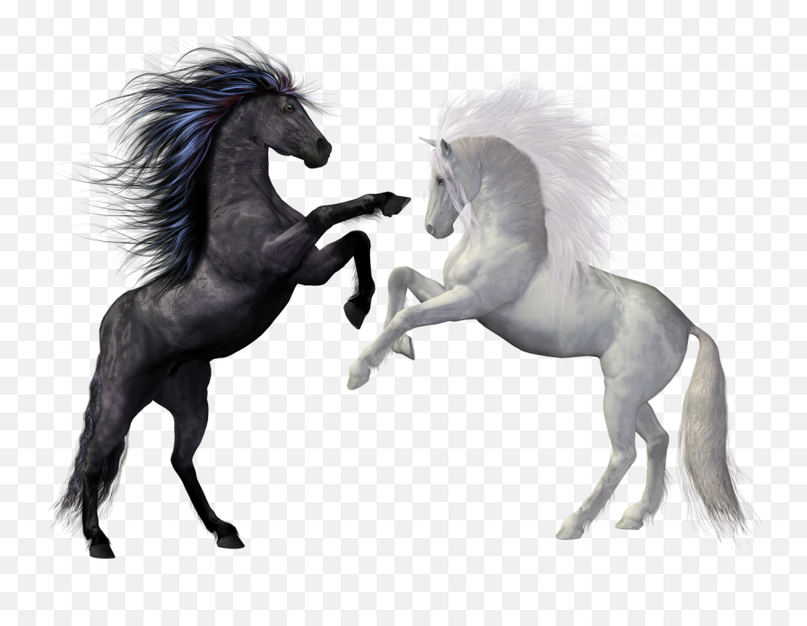 Free Photo Attack Fight Angry Kill - Max Pixel White And Black Friesian Horses Emoji,Emoji Horse And Plane