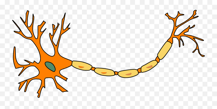 Neurotransmitters Diagram - Long Slender Projection Of The Nerve Cell Emoji,Neurotransmitters And Emotions