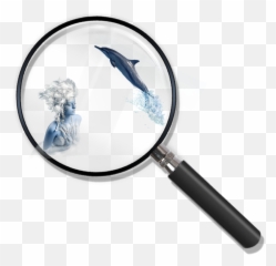 Edit - Loupe Emoji,Magnifying Glass And Fish Emoji