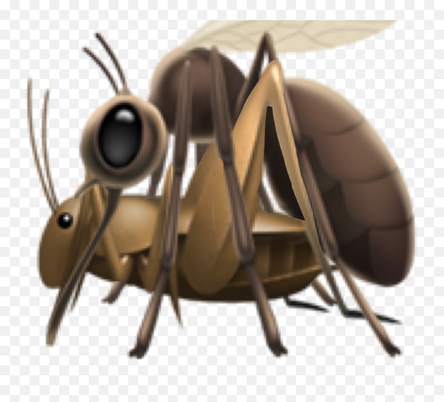Even Satan Doesnu0027t Want Us At This Point - H Wattpad Emoji,Emoji Girl Clair