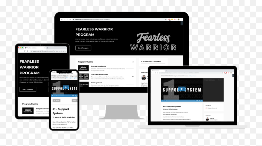 Fearless Warrior Program Emoji,Emotions As Warriors