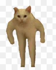 Gatos Emoji,Black Cat Wave Discord Emoji