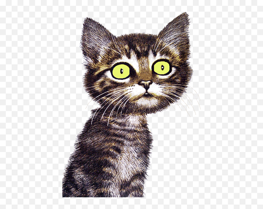 Funny Cat Sayings Clip Art - Clipart Vector Design U2022 Emoji,Funny Thanksgiving Emoji