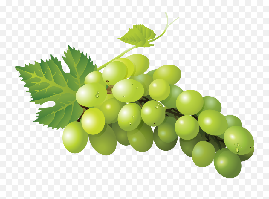 Grape Clipart High Quality Grape High - Grape Transparent Emoji,Green Grape Emoji
