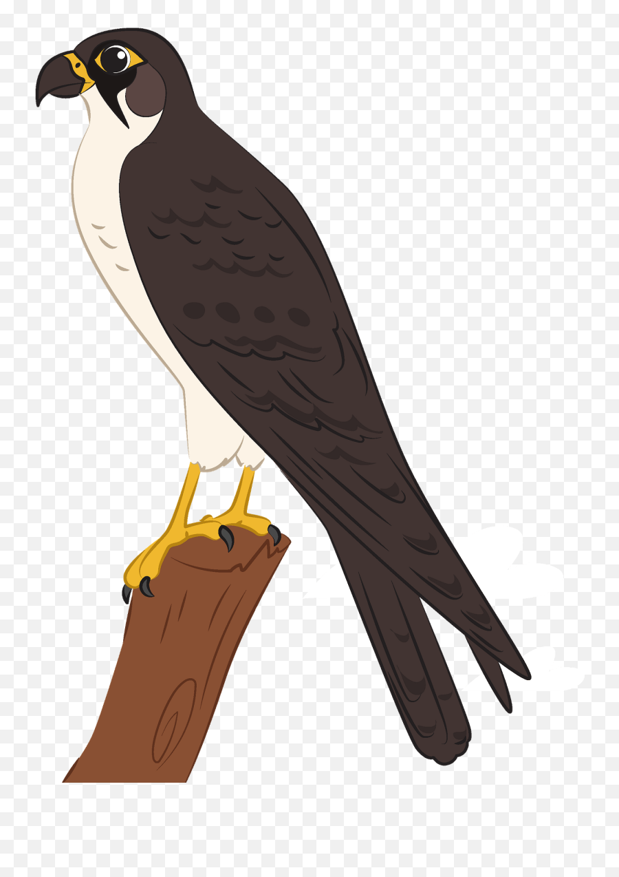 Falcon Clipart Free Download Transparent Png Creazilla - Falcon Emoji,Hawk Emoji