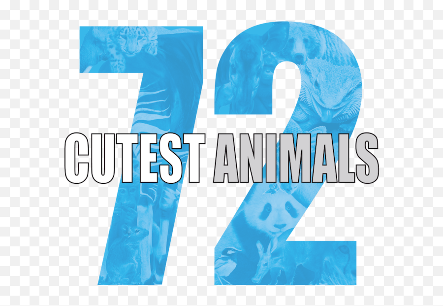 72 Cutest Animals Netflix - Language Emoji,Orangutan Showing Emotions