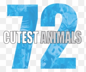 72 Cutest Animals Netflix - Language Emoji,Orangutan Showing Emotions