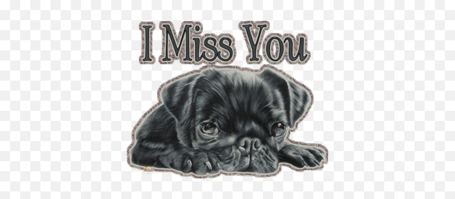 Top Miss You Stickers For Android Ios - Miss You Pug Gif Emoji,I Miss You Emoticon