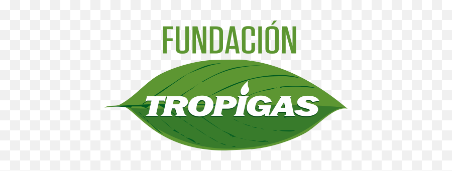 Martí - Fundacion Tropigas Emoji,Telefono Hotel Emotions By Hodelpa Pto Pta