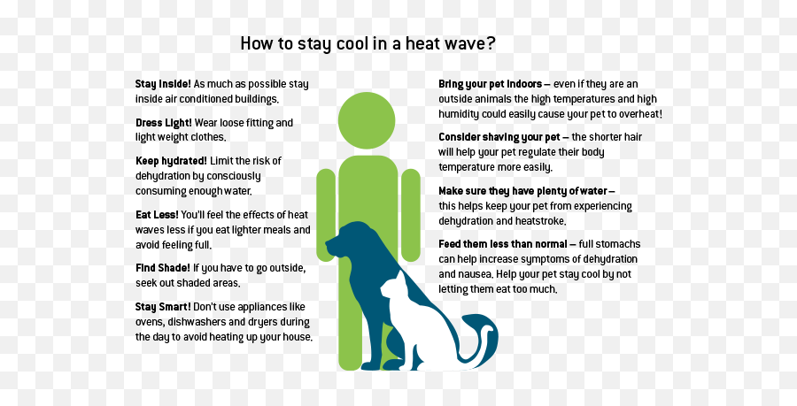 Heat Wave Information - Natural Disaster Guide Direct Energy Heat Wave Effects Emoji,Detroit Become Human Emotion Meter