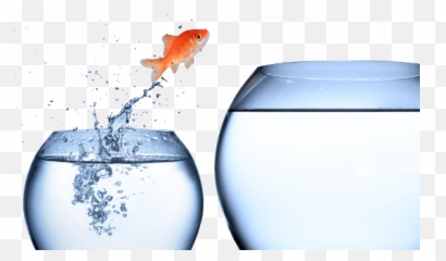 Nevilleu0027s Blog - Neville Wright Entrepreneur Need To Change Emoji,Glass Case Of Emotion Gifg