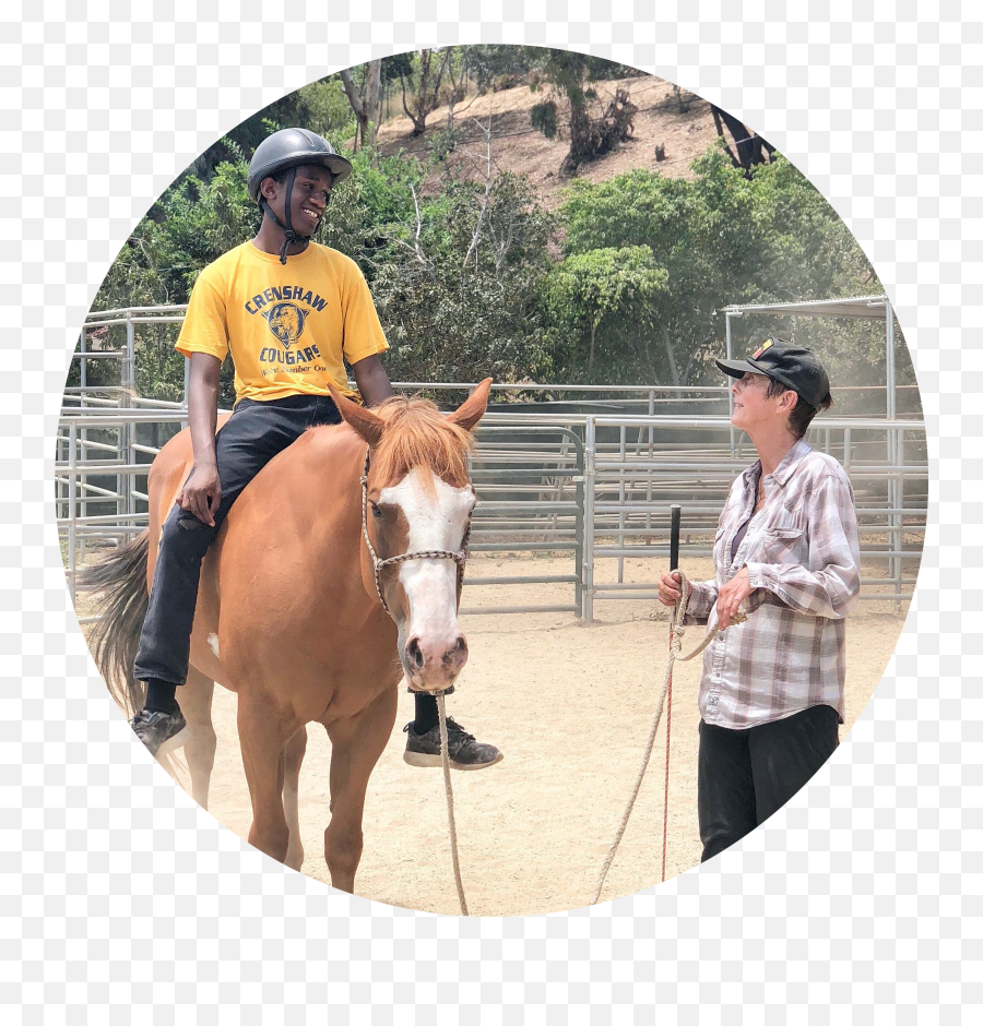 Big Heart Ranch - Halter Emoji,Emotion Horse Rider Metaphor