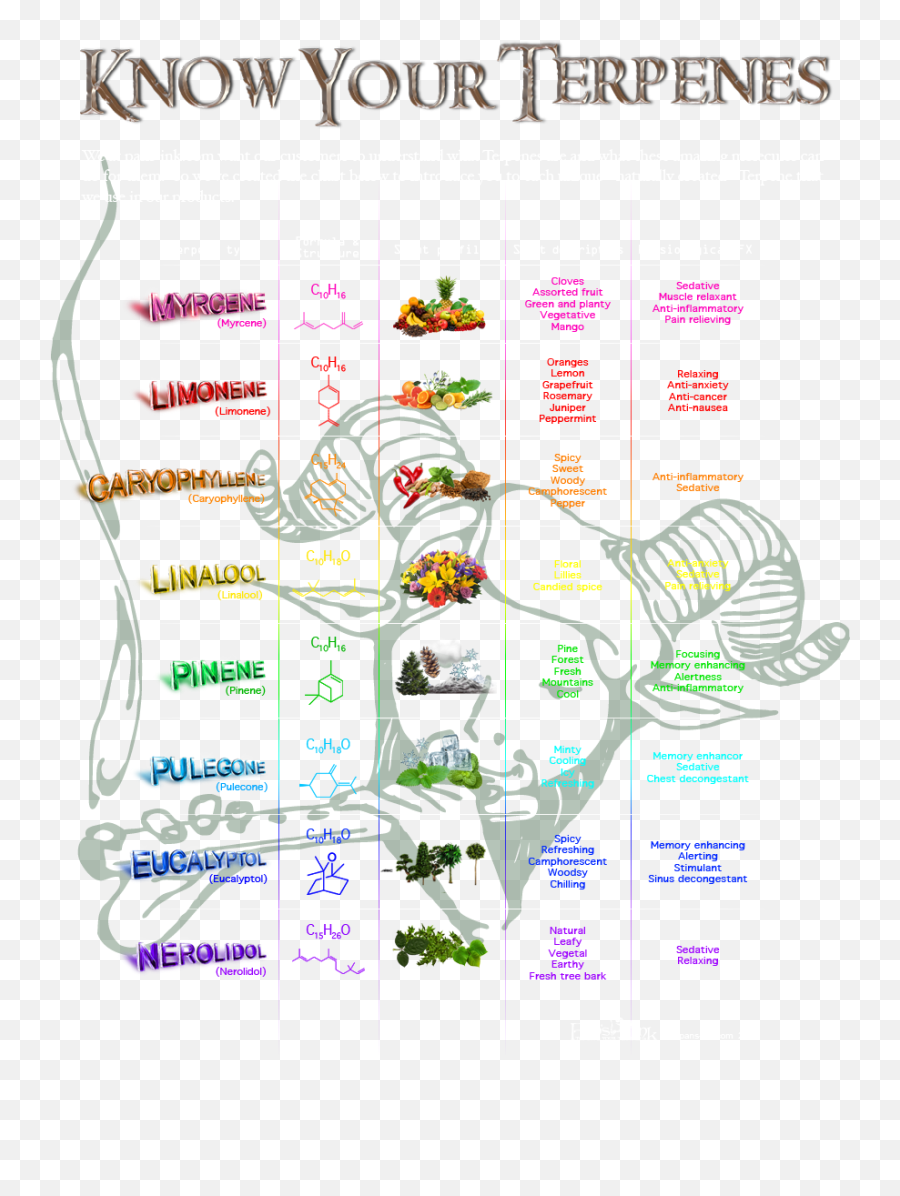 Cb1 Receptors Emoji, Cb1 Receptors Emoji,