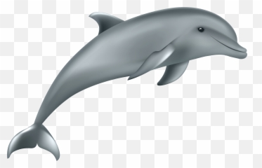 Dolphin Clipart Transparent - Peepsburgh Emoji,Emojis Png Ocean