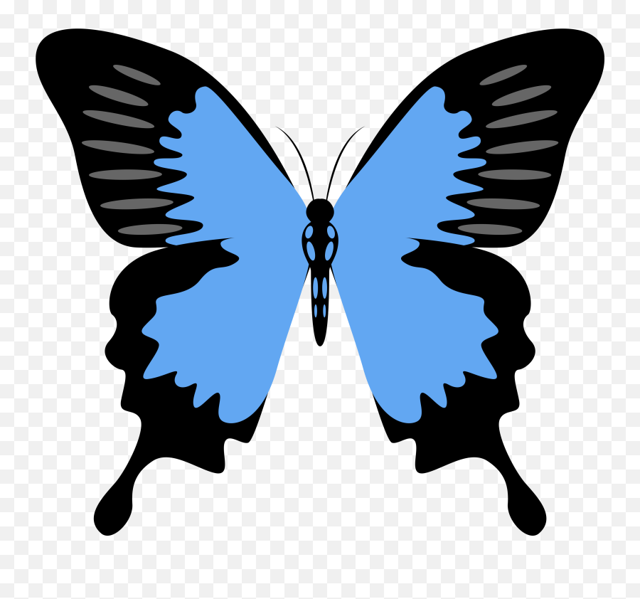 Chrysalis Strategies Group Emoji,Blue Butterfly Emoji