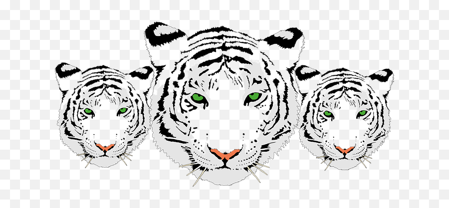 70 Cat Face Vector - Pixabay Pixabay Clipart Tiger Face 1001freedownloads Emoji,Tiger/cat Emoticon