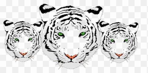 70 Cat Face Vector - Pixabay Pixabay Clipart Tiger Face 1001freedownloads Emoji,Tiger/cat Emoticon