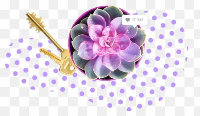 Real Estate Video Maker Wavevideo - Vase Of Plant Top View Emoji,Sweet Emotion Video Images