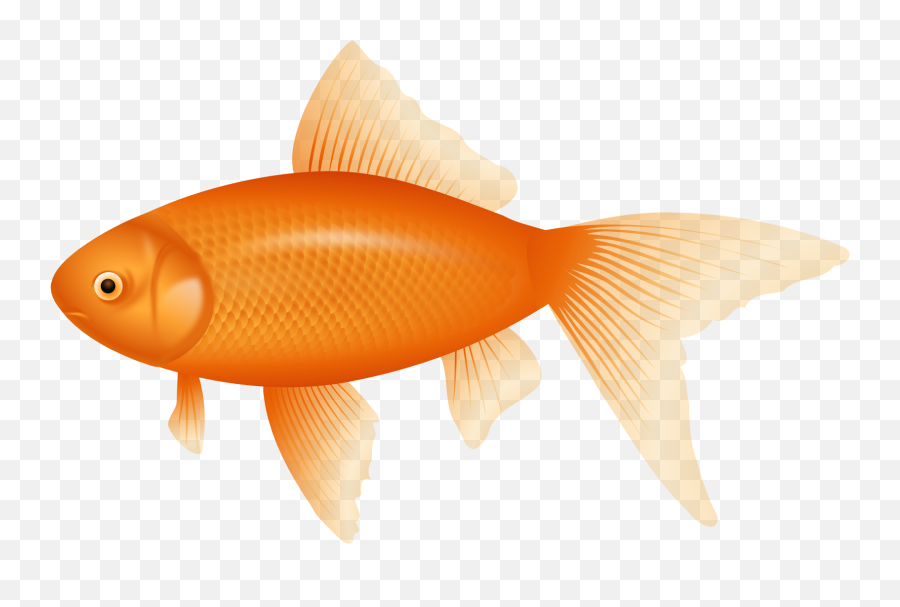 Fork Clipart Fish Fork Fish Transparent Free For Download - Transparent Background Orange Fish Clipart Emoji,Fish Cake Emoji
