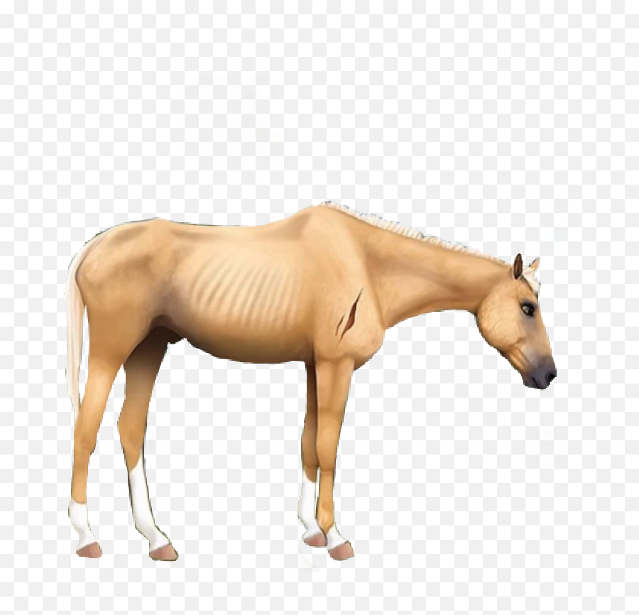 Discover Trending Horses Stickers Picsart - Animal Figure Emoji,Hand Horse Horse Emoji