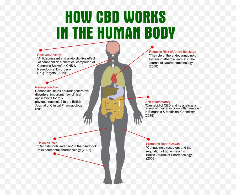 Hemp Works Cbd Oil Emoji, Hemp Works Cbd Oil Emoji,