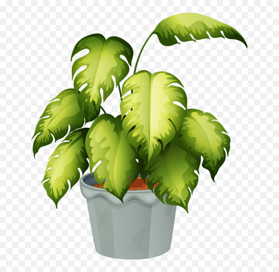 Flowering Plant Clip Art - Flower Pot Png Download 699800 Non Flowering Plants With Names Emoji,Pot Leaf Emoji