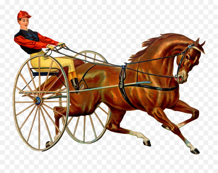 Vintage Horse Race Harness Racing - Free Image On Pixabay Emoji,Facebook Racehorse Emoticon