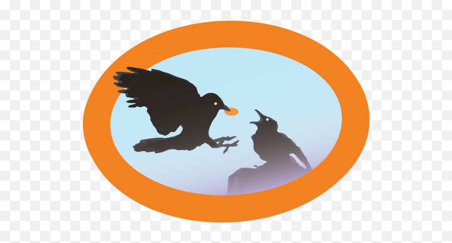 Humboldt Wildlife Care Center U2013 Page 12 U2013 Bird Ally X Emoji,Poem Waves Ocean Emotion Eagle