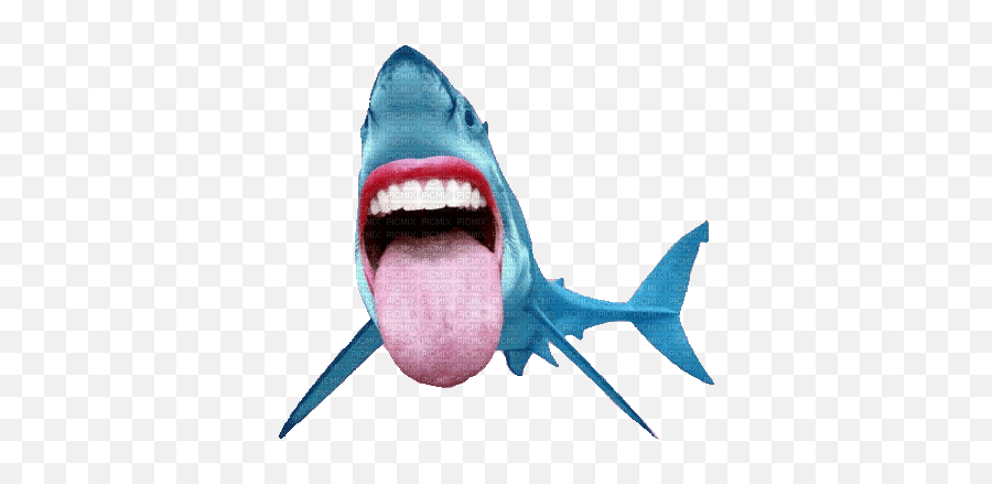 Shark Fun Gif Created With Gimp Shark Fun Gif Emoji,Fish Lips Emoji