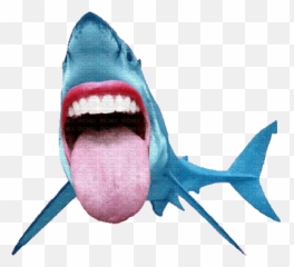 Shark Fun Gif Created With Gimp Shark Fun Gif Emoji,Fish Lips Emoji