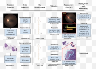 Lessons Learned From Developing Ml For - Vertical Emoji,Guess The Emoji Level 99 Health
