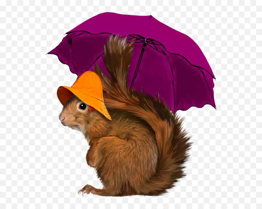 Pin - Red Squirrel Emoji,Red Squirrel Emoji