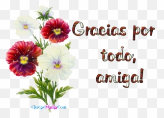 Eso Es El Amor - Sociedad Venezolana De Arte Internacional Gif De Muchas Gracias Amiga Emoji,Emojis De Presentimiento