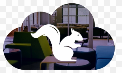 Squirrels - Eastern Gray Squirrel Emoji,Ditto Emotions