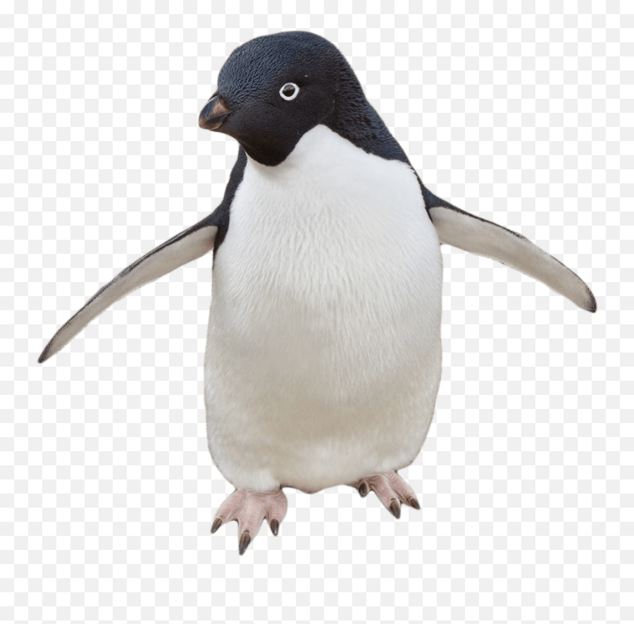 Transparent Penguin Walking Gif Emoji,Kylo Ren Skype Emoticon