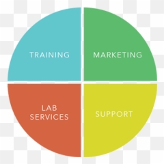 Smile Systems 3 On 6 Dental Training Marketing Lab And Emoji,Dentist Emotion Graph