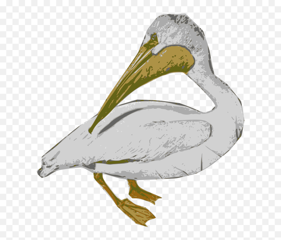 Openclipart - Clipping Culture Emoji,Emotion Of Pelicans