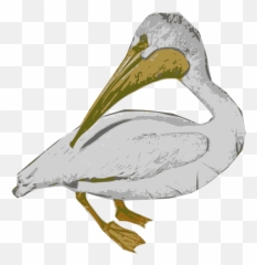 Openclipart - Clipping Culture Emoji,Emotion Of Pelicans