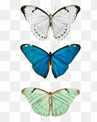 Aesthetic Butterfly Wallpaper Iphone X Emoji,Eiffel Tower Emoji Iphone