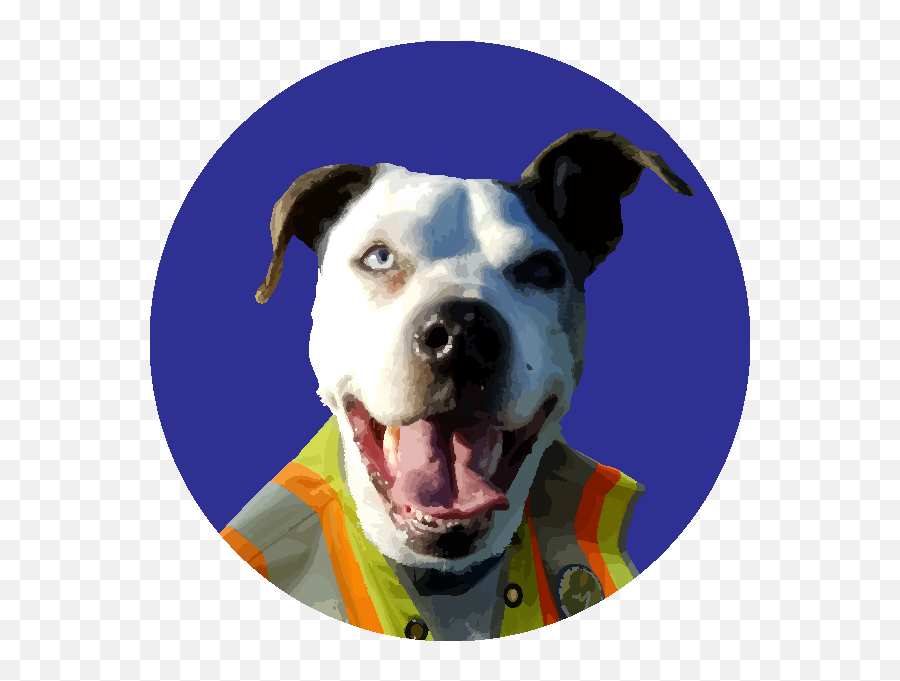 Meet Our Office Dogs U2014 Emoji,Emotion Pets Toys R Us