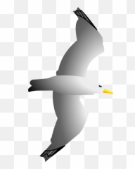 Flightless Birdwater Birdeuropean Herring Gull Png Clipart Emoji,Vector Emojis Water