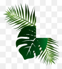 Exotic Fruit Box - Premium Tropical Fruit From The Tree To You Emoji,Jungle Leaf Emoji
