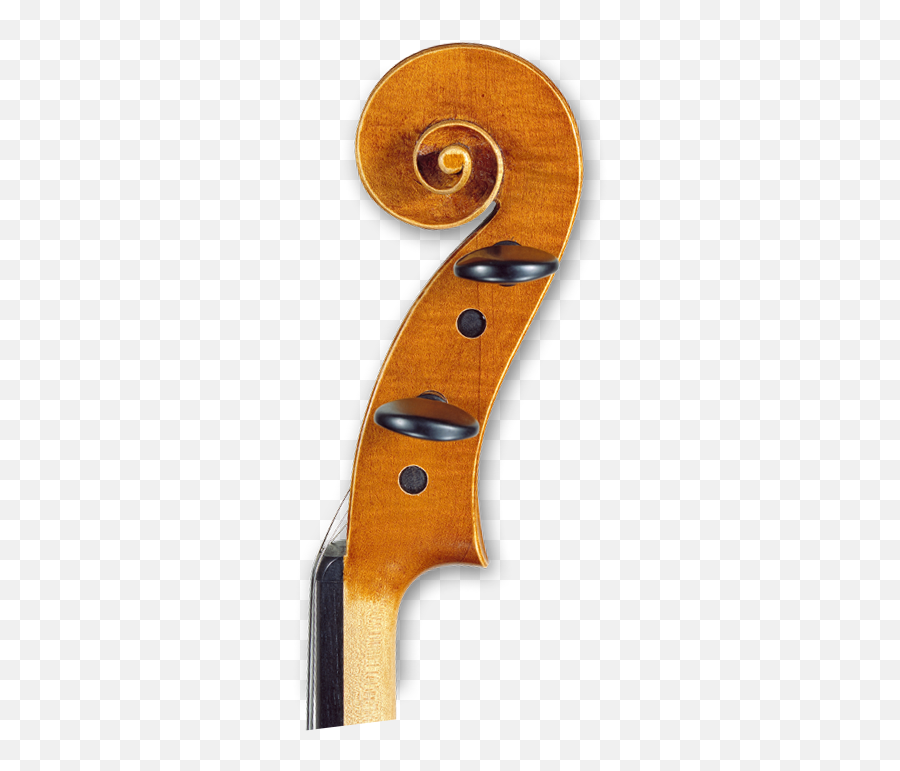 Yann Besson Great Violin And Viola Maker Emoji,Cello Emoji Copy And Paste