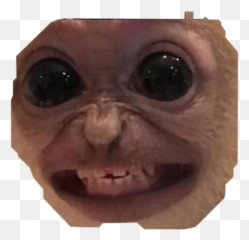 The Most Edited Monkay Picsart - Happy Birthday Memes Emoji,Monkas Emoji