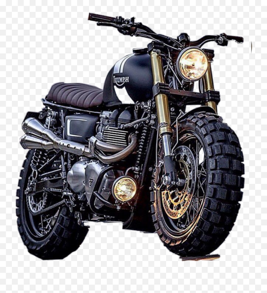 Popular And Trending Race Stickers Picsart - Motos Triumph Scrambler Emoji,Racehorse Emoji